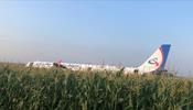 «Уральские авиалинии» сели в кукурузное поле