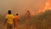 На Сицилии пожары  …. устраивали сами пожарные