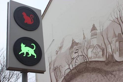 Где еще в России вы найдете кошачьи светофоры и котошефа!