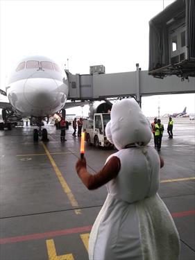 Полетели - Qatar Airways начала полеты в С-Петербург