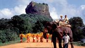 «Аэрофлот» «вспорет небо» на Шри-Ланку