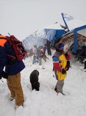 На Домбае вызвали сход лавины - погиб президент горнолыжной федерации «Домбай»