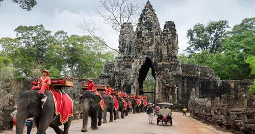 В Ангкор Ват слоны больше не будут ездовыми