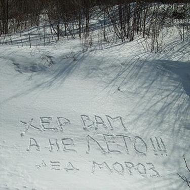 Уже можно сделать некоторые выводы